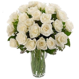 25 White Roses 25 White Roses photos