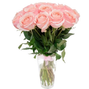11 Pink Roses 11 Pink Roses photo