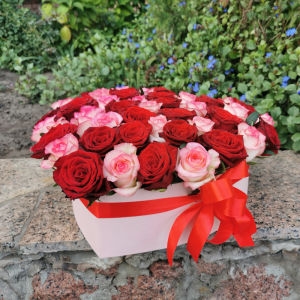 My Heart Roses 3 My Heart Roses photo 3