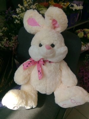 Easter Bunny Delivery in Ukraine Easter Bunny Delivery