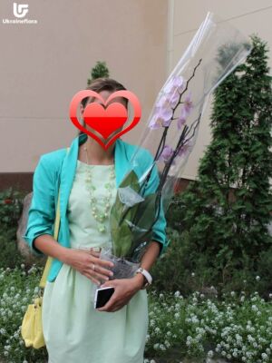Орхідея в вазі фото доставки  4 Орхідея в вазі фото доставки Україна 4