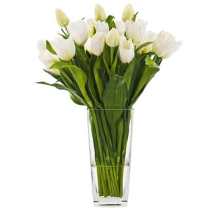 19 White Tulips 19 White Tulips photo