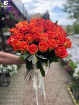 39 Coral Roses Delivery Photo 1 39 Coral Roses Delivery Photo Ukraine 1