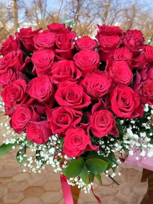 True Feelings Photo Delivery  1 True Feelings Photo Delivery Ukraine 1