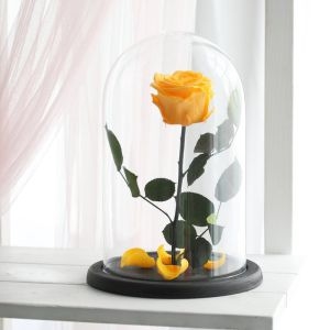 Eternal Yellow Rose Eternal Yellow Rose photo
