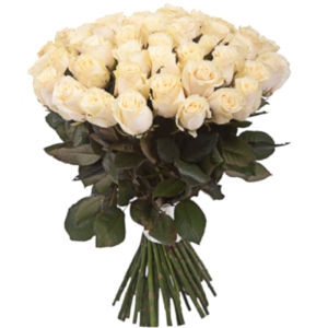 35 White Roses 35 White Roses photo