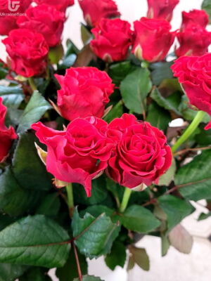 21 Red Roses Photo Delivery  1 21 Red Roses Photo Delivery Ukraine 1