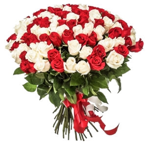 101 Red White Roses 101 Red White Roses photo