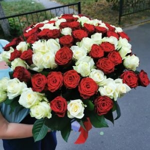 букет 101 Красная и Белая Роза срочно 101 Красная и Белая Роза