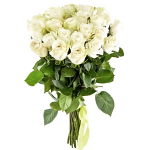 21 White Roses 21 White Roses photo