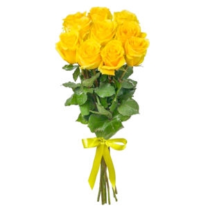 9 Yellow Roses 9 Yellow Roses photo