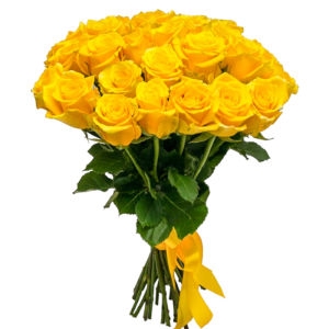 29 Yellow Roses 29 Yellow Roses photo