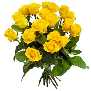 19 Yellow Roses 19 Yellow Roses photo