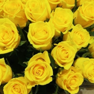 жовта троянда замовлення жовта троянда букет