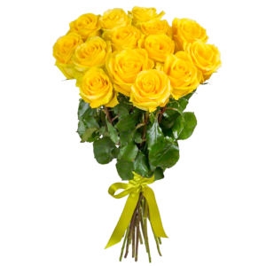 15 Yellow Roses 15 Yellow Roses photo