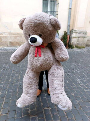 Giant Teddy Bear Photo Delivery  1 Giant Teddy Bear Photo Delivery Ukraine 1