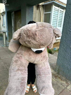 Giant Teddy Bear Photo Delivery  3 Giant Teddy Bear Photo Delivery Ukraine 3