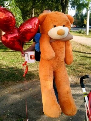 Giant Teddy Bear Photo Delivery 7 Giant Teddy Bear Photo Delivery Ukraine 7
