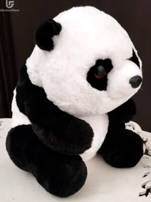 Panda Small Photo Delivery  1 Panda Small Photo Delivery Ukraine 1