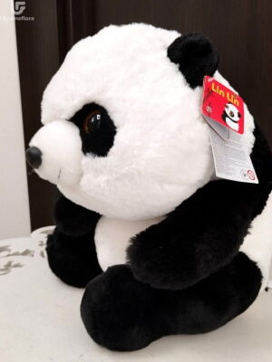 Panda Small Photo Delivery  3 Panda Small Photo Delivery Ukraine 3