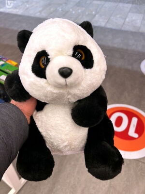 Panda Small Photo Delivery  4 Panda Small Photo Delivery Ukraine 4