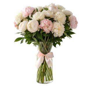 35 Peony 35 Peony Ukraine