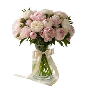 21 Peony 21 Peony Ukraine