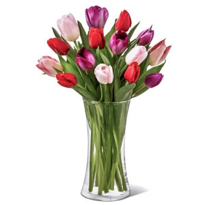 15 Tulips Mixed 15 Tulips Mixed photo