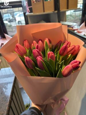 25 Red Tulips Photo Delivery  1 25 Red Tulips Photo Delivery Ukraine 1
