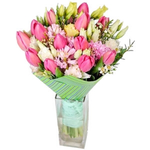 Tulips Freshness Tulips Freshness photo