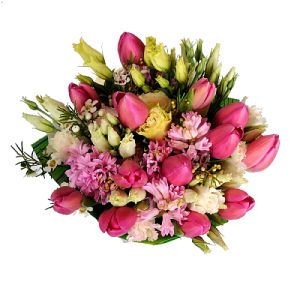 Tulips Freshness 2 Tulips Freshness Ukraine 2