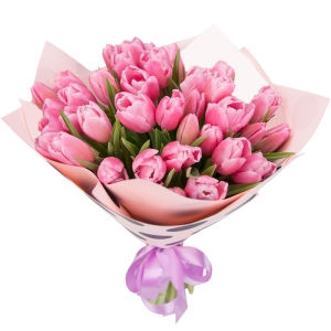 35 Pink Tulips 35 Pink Tulips photo
