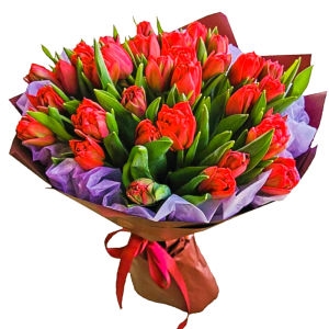 35 Red Tulips 35 Red Tulips photo