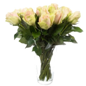 9 Pink Roses 9 Pink Roses photo