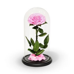 preserved rose in in Ukraine 2
