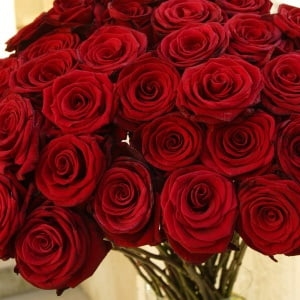 send red roses Ukraine 3