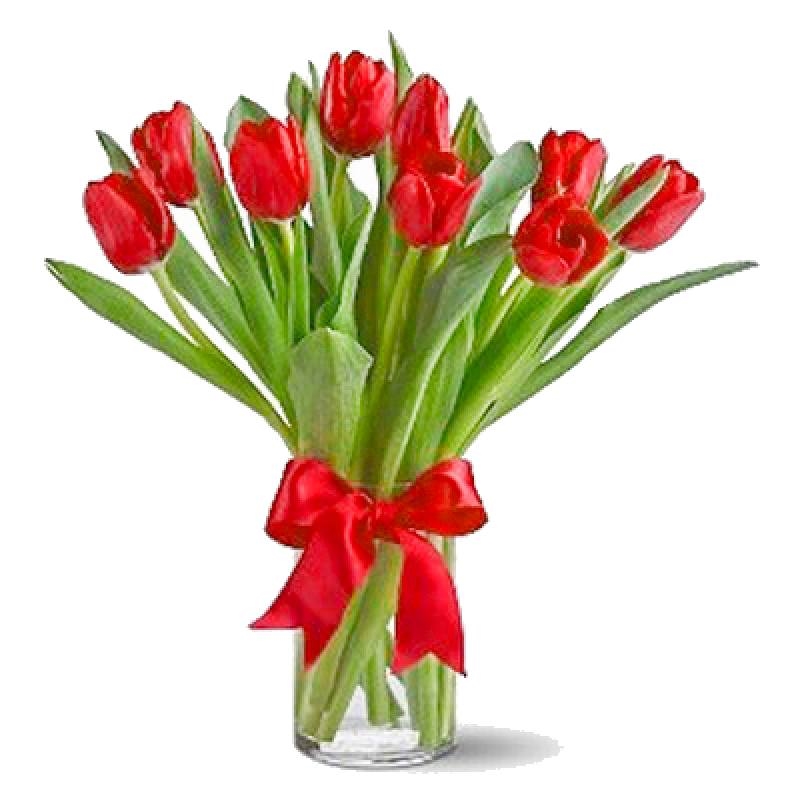 Red tulips in Ukraine
