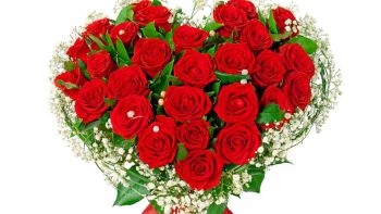 Best Seller Roses Ukraine 1