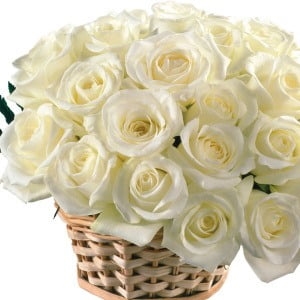 замовити білі троянди 2