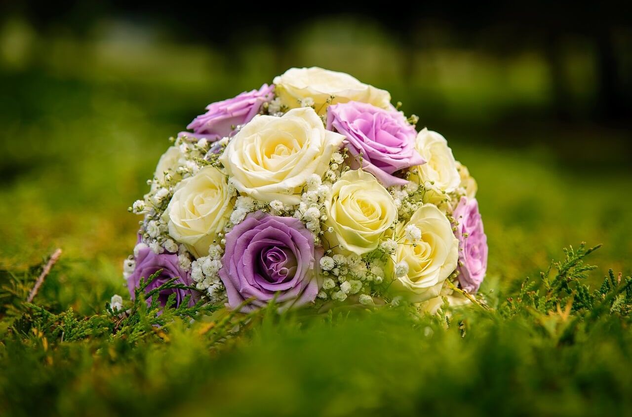 Цветы проблемы Украина 1