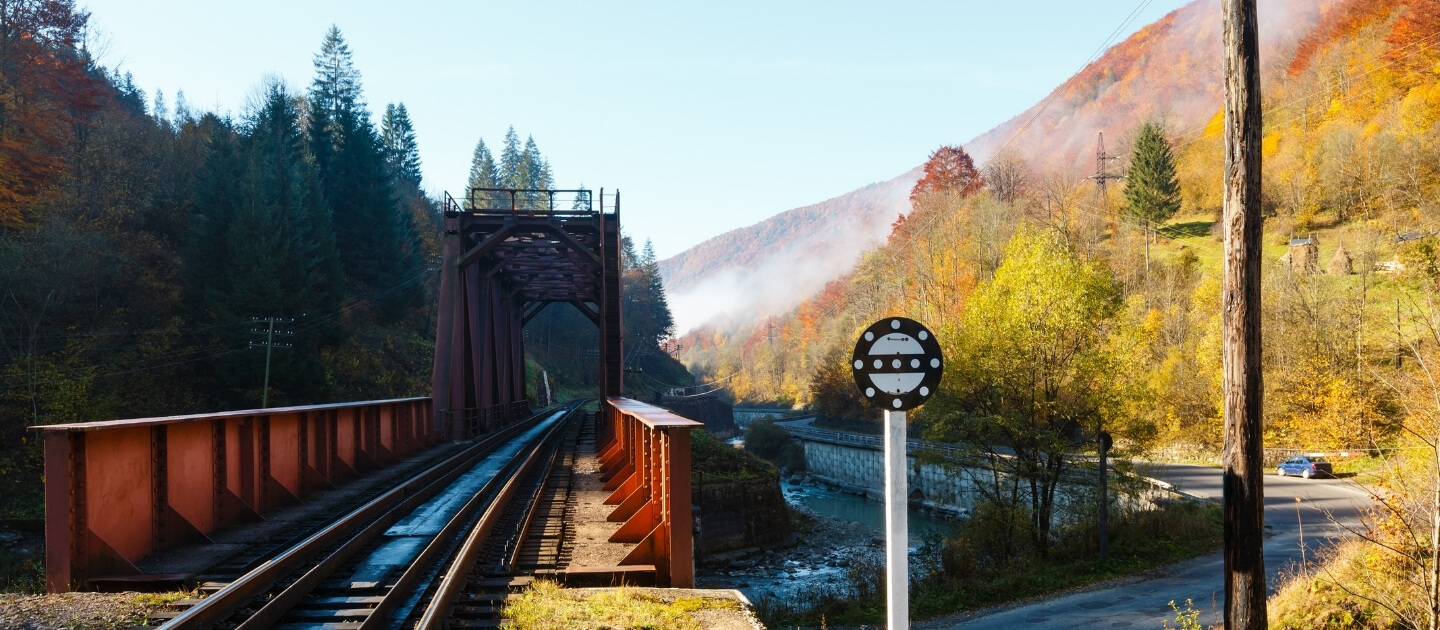 Доставка цветов и подарков в Рахов Украина