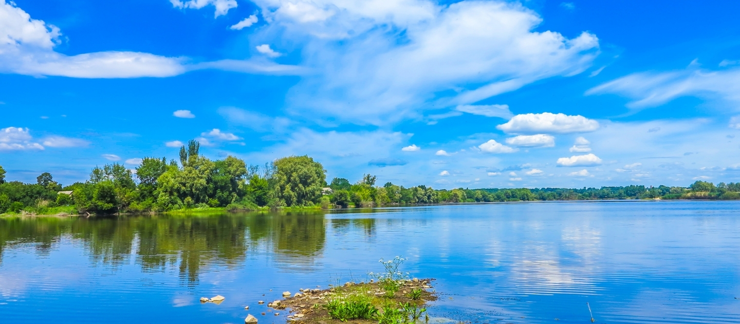 Flowers Delivery in Zhashkiv Flowers Delivery in Zhashkiv Ukraine