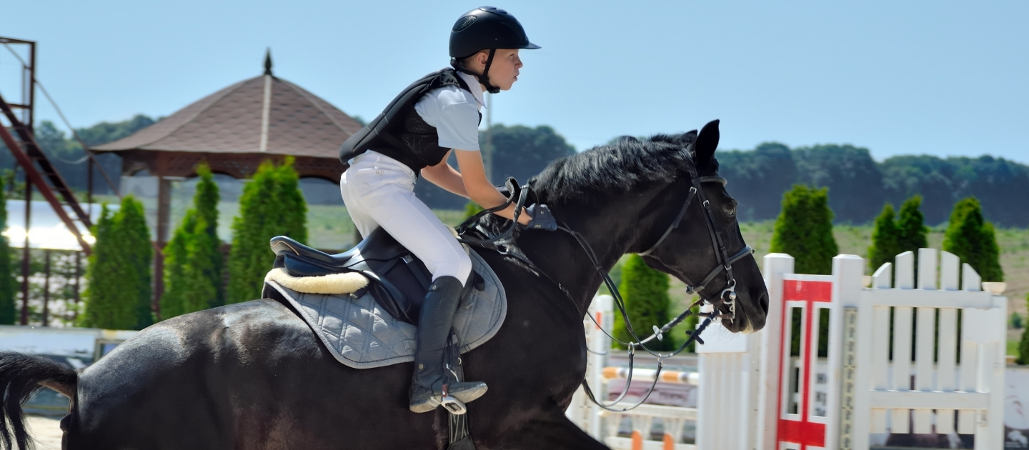 Flowers Delivery in Zhashkiv 1 Flowers Delivery in Zhashkiv Ukraine 1