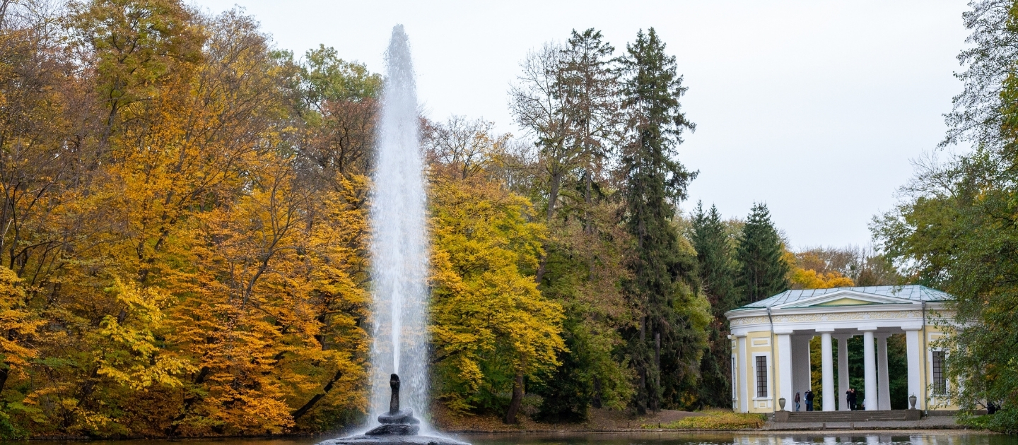 Flowers Delivery in Uman 1 Flowers Delivery in Uman Ukraine 1