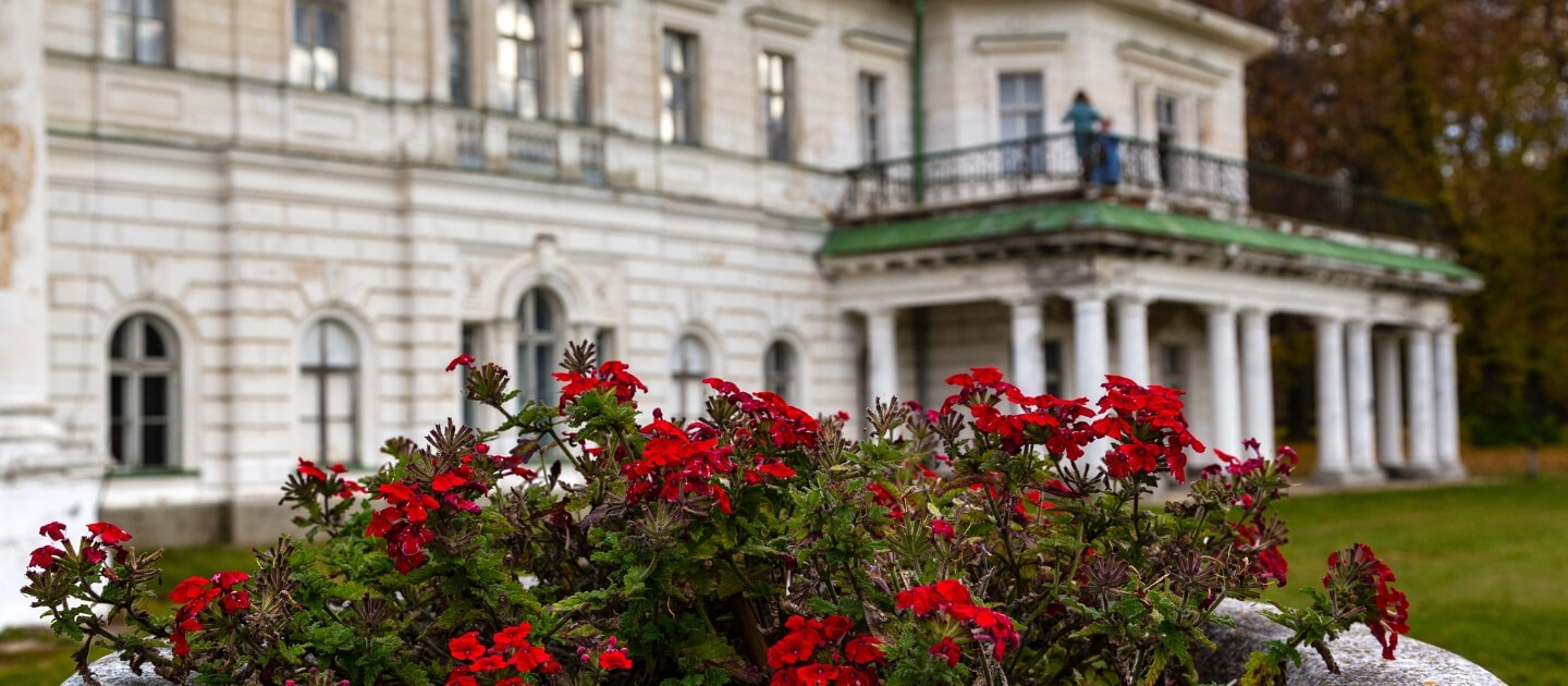 Доставка цветов в Прилуки 1 Украина