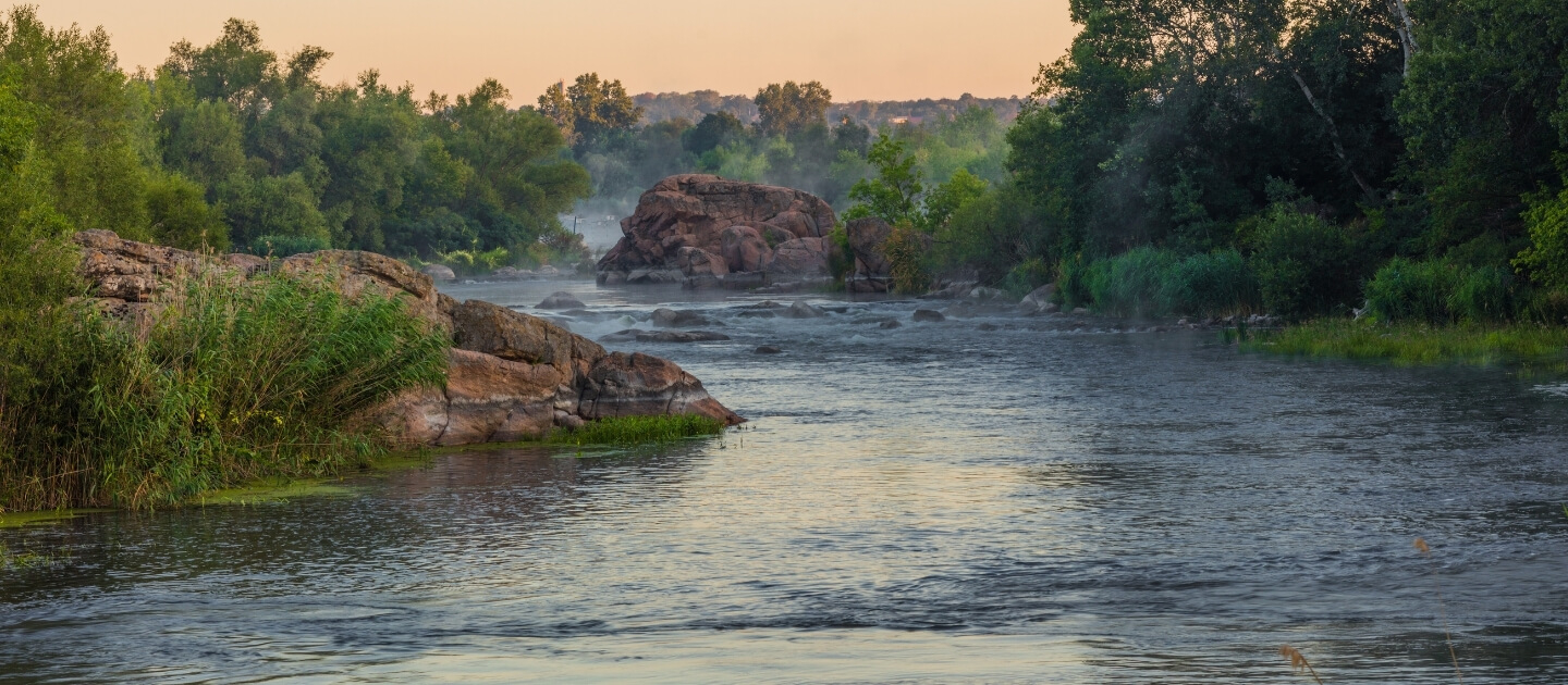 Квіти - Доставка квітів Первомайськ 