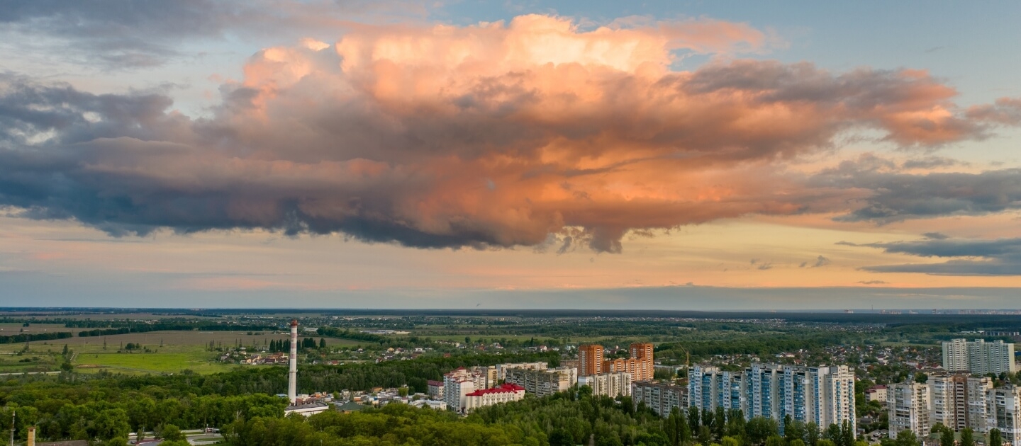 Доставка цветов в Бровары  Доставка цветов в Бровары Украина