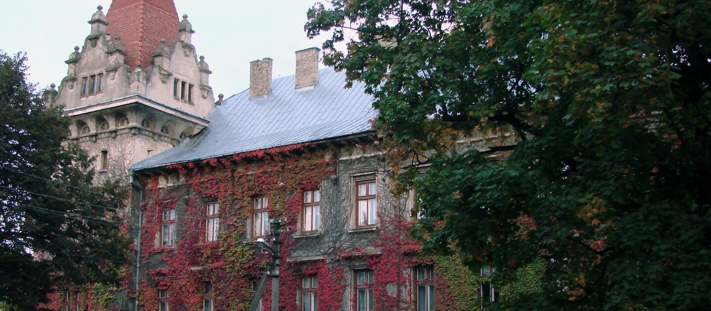 Доставка цветов и подарков в Броды 1 Украина