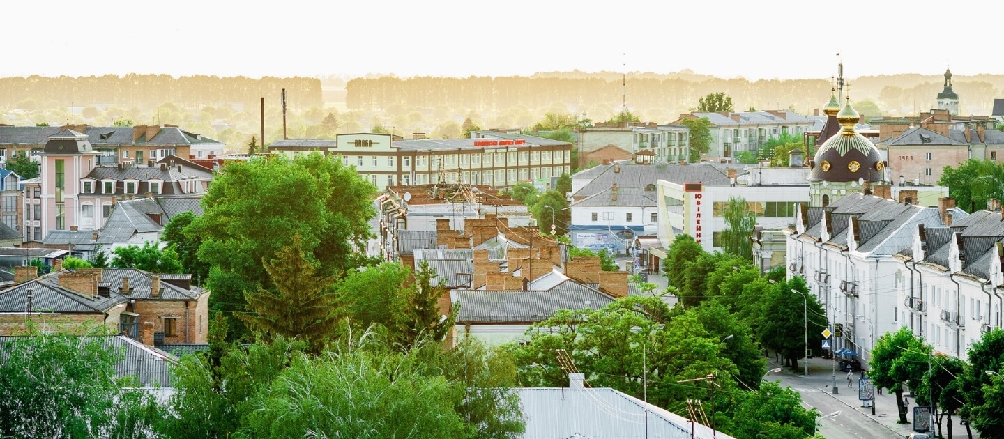 Квіти - Доставка квітів Бердичів 1