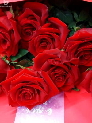 7 Red Roses Delivery Photo Ukraine 2